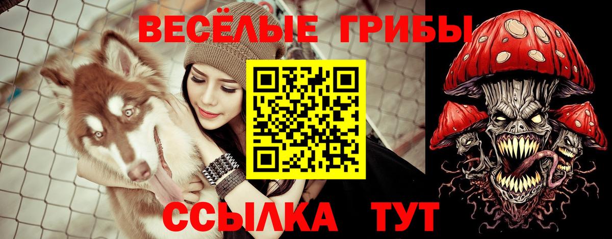 Псилоцибиновые грибы прущие грибы  Вход с VPN  Десногорск 